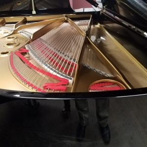 Steinway Grand Piano Model B* | Ebony & other finishes