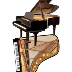 Steingraeber & Söhne Model B-192 Salon Grand Piano (6’3″)
