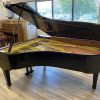 dteingraber45214-pianocraft