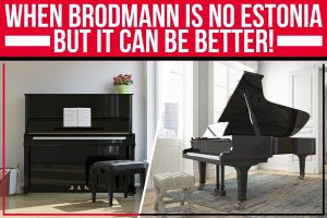 When Brodmann Is No Estonia – But It Can Be Better!