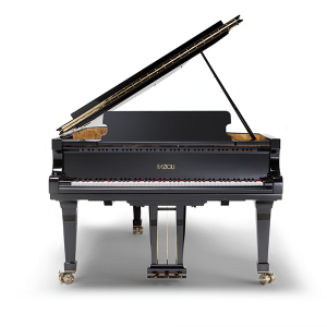 FAZIOLI Model F212 Grand Piano (7’0″) – NEW